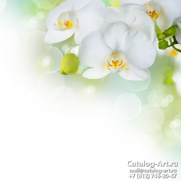 Натяжные потолки с фотопечатью - Белые орхидеи 41